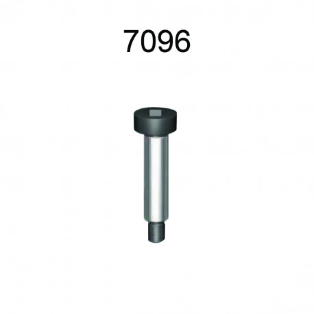 SHOULDERED SCREWS WITH INSERTED HEXAGON (7096)
