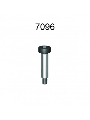 SHOULDERED SCREWS WITH INSERTED HEXAGON (7096)